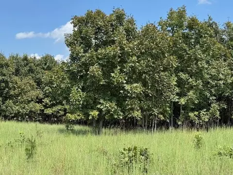 Other - 2285 County Road 437-b, Mountain View, MO 65548 photo 31 of 40