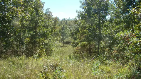 Other - 2285 County Road 437-b, Mountain View, MO 65548 photo 36 of 40