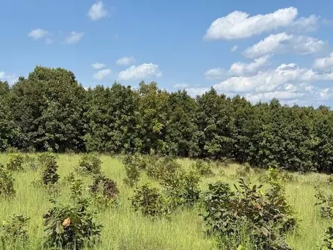 Other - 2285 County Road 437-b, Mountain View, MO 65548 photo 28 of 40