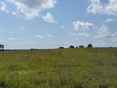 Other - 2285 County Road 437-b, Mountain View, MO 65548 photo 15 of 40