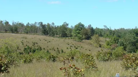 Other - 2285 County Road 437-b, Mountain View, MO 65548 photo 35 of 40