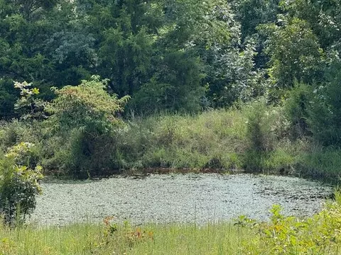 View/Area - 2285 County Road 437-b, Mountain View, MO 65548 photo 2 of 4