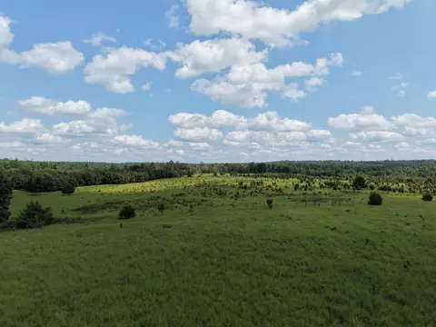 Other - 2285 County Road 437-b, Mountain View, MO 65548 photo 6 of 40