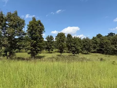 Other - 2285 County Road 437-b, Mountain View, MO 65548 photo 33 of 40