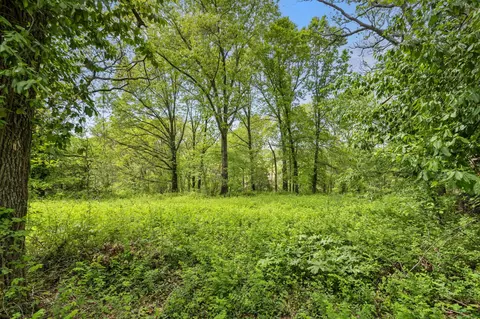 809 N 9th St, Ozark, MO 65721 photo 11