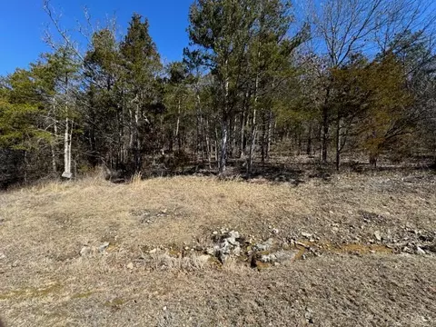 56 Ranch Rd, Saddlebrooke, MO 65630 photo 5