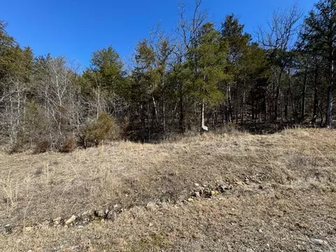 56 Ranch Rd, Saddlebrooke, MO 65630 photo 6
