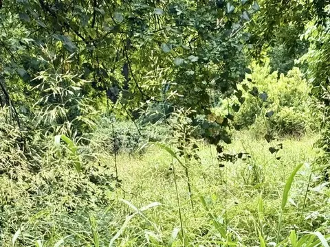 000 E Grand - 697 Acre Ml St, Springfield, MO 65804 photo 5