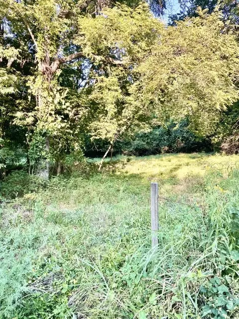 000 E Grand - 697 Acre Ml St, Springfield, MO 65804 photo 3