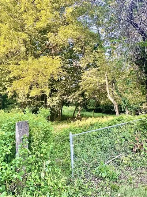 000 E Grand - 697 Acre Ml St, Springfield, MO 65804 photo 4