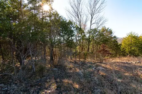 000 Shady Dr, Branson, MO 65616 photo 14
