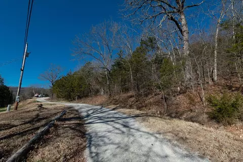 000 Shady Dr, Branson, MO 65616 photo 23