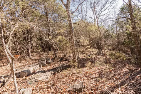 000 Shady Dr, Branson, MO 65616 photo 19