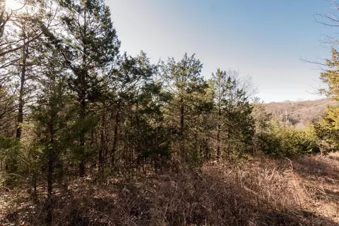 000 Shady Dr, Branson, MO 65616 photo 15