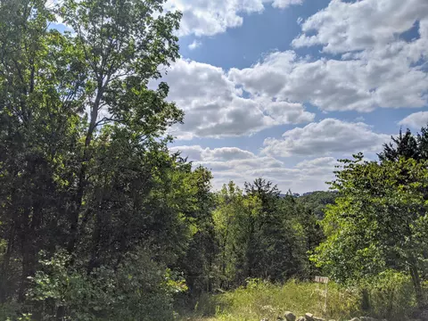 000 Shady Dr, Branson, MO 65616 photo 4