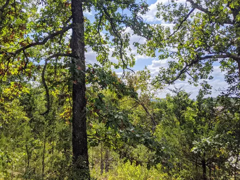 000 Shady Dr, Branson, MO 65616 photo 7