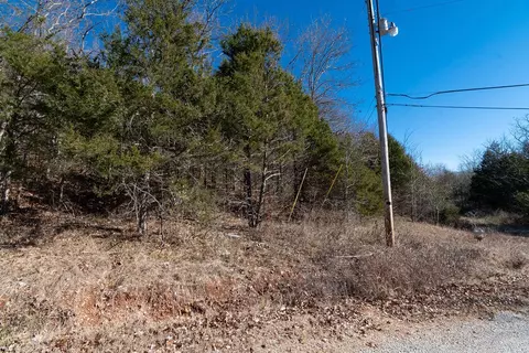 000 Shady Dr, Branson, MO 65616 photo 24