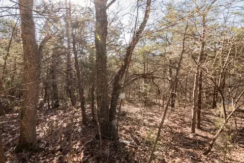 000 Shady Dr, Branson, MO 65616 photo 18