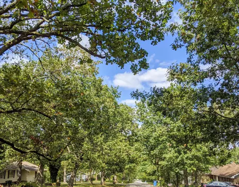 000 Shady Dr, Branson, MO 65616 photo 6