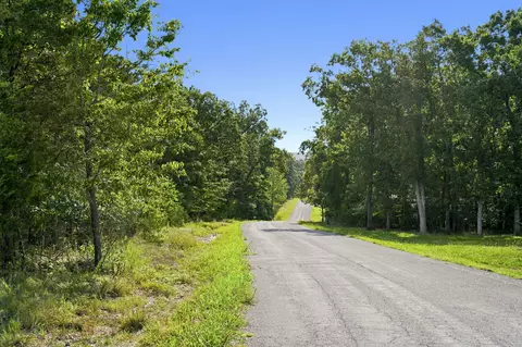 000 Peaceful Dr, Branson, MO 65616 photo 10