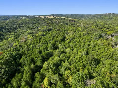000 Peaceful Dr, Branson, MO 65616 photo 12