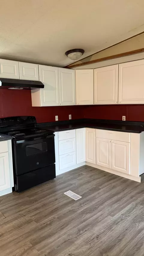 Kitchen - 381 Mill Hollow Rd, Forsyth, MO 65653 photo 3 of 3