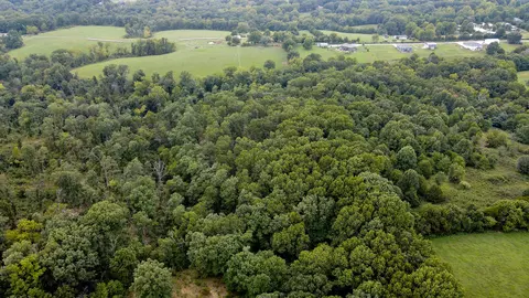 363 Henry Dr, Ozark, MO 65721 photo 8