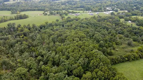 363 Henry Dr, Ozark, MO 65721 photo 5