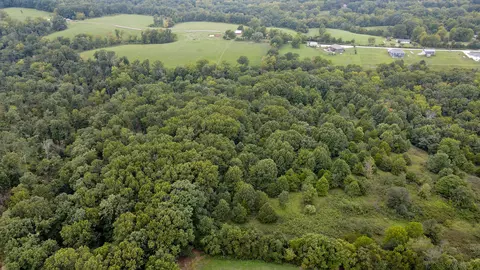 363 Henry Dr, Ozark, MO 65721 photo 4