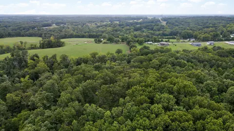 363 Henry Dr, Ozark, MO 65721 photo 7