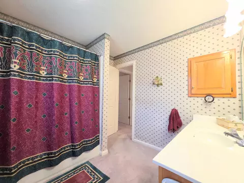 Bath - 1228 W Beekman St, Springfield, MO 65810 photo 2 of 15