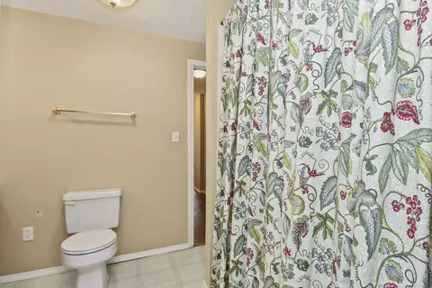 Bath - 533 Ghan Rd, Clever, MO 65631 photo 5 of 5
