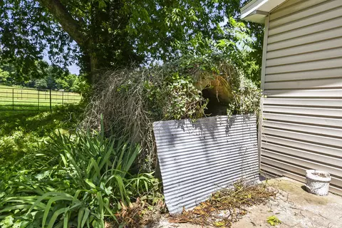 Exterior - 533 Ghan Rd, Clever, MO 65631 photo 12 of 17
