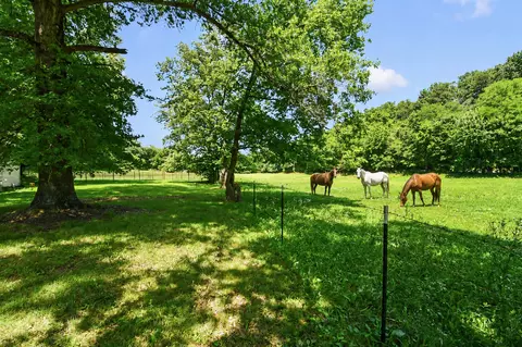 Exterior - 533 Ghan Rd, Clever, MO 65631 photo 3 of 17