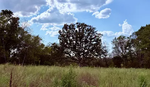 1002 Dys Dr, Cabool, MO 65689 photo 3