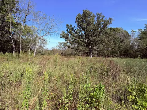 1002 Dys Dr, Cabool, MO 65689 photo 11