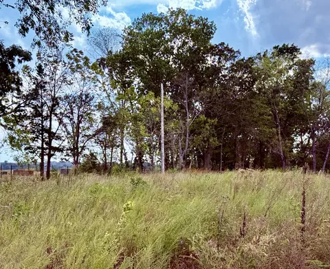 1002 Dys Dr, Cabool, MO 65689 photo 2