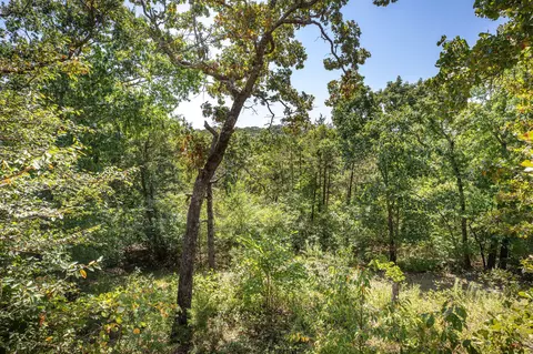 Other - 229 Shore Acres Dr, Powersite, MO 65731 photo 7 of 9