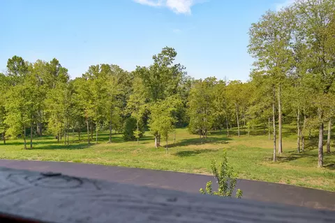 Other - 497 Double Spring Rd, Republic, MO 65738 photo 44 of 59