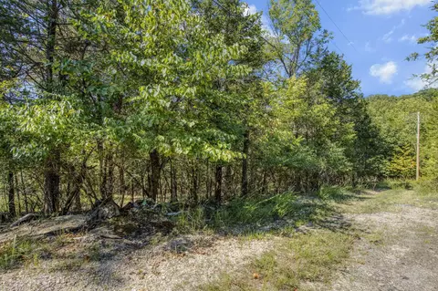 lot S 15-18 Pomme De Terre Rd, Branson, MO 65616 photo 2