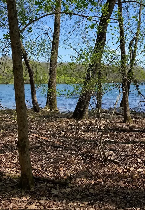 lot S 15-18 Pomme De Terre Rd, Branson, MO 65616 photo 11