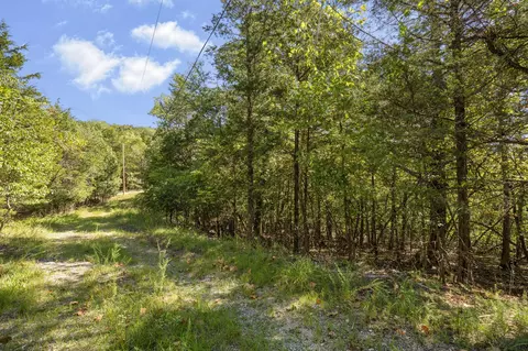 lot S 1213 Pomme De Terre Rd, Branson, MO 65616 photo 3