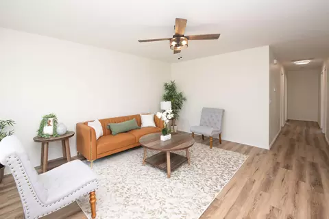 2916 W Chestnut St, Springfield, MO 65803 photo 3