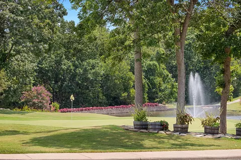 Other - 161 Avondale Dr #1, Branson, MO 65616 photo 9 of 9