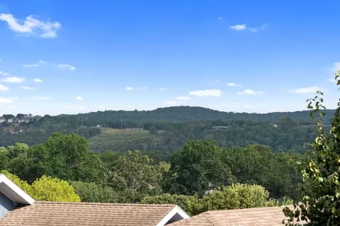 View/Area - 161 Avondale Dr #1, Branson, MO 65616 photo 2 of 2