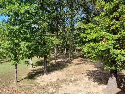 Exterior - 2373 E 540th Rd, Buffalo, MO 65622 photo 9 of 19