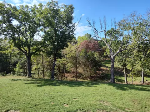 Exterior - 2373 E 540th Rd, Buffalo, MO 65622 photo 7 of 19