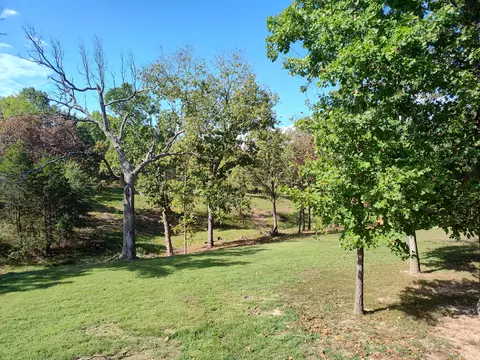Exterior - 2373 E 540th Rd, Buffalo, MO 65622 photo 8 of 19