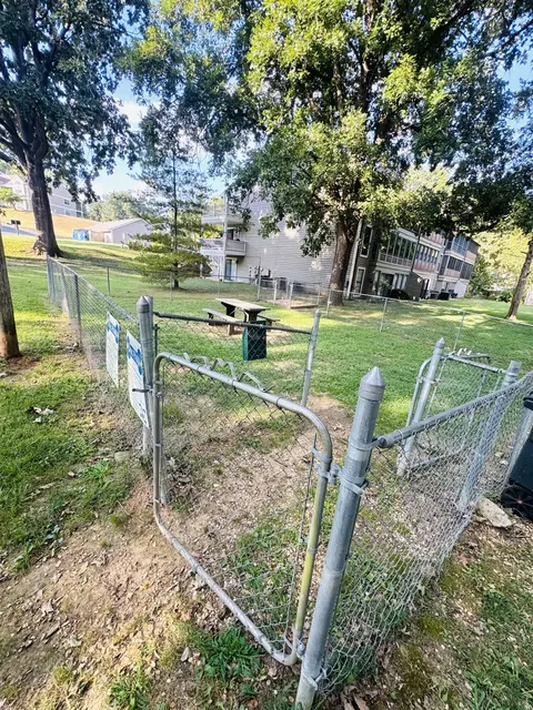 Other - 148 Lake Club Rd #3, Branson, MO 65616 photo 4 of 15