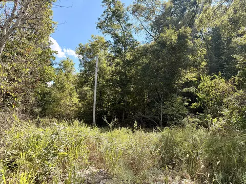 000 Ff, Ava, MO 65608 photo 17